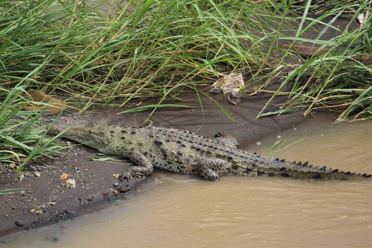 Отель Iguana Libre Доминикаль Экстерьер фото